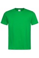 Koszulka T-shirt męski  krótki rękaw 