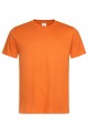 Koszulka T-shirt męski  krótki rękaw 